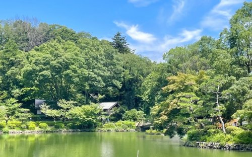 【公園】薬師池公園まで1258ｍ