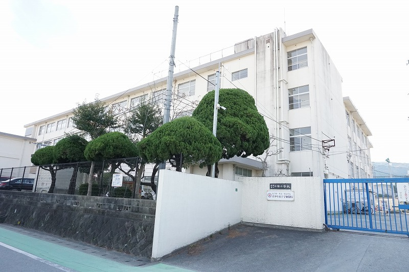 【小学校】福岡市立小笹小学校まで907ｍ