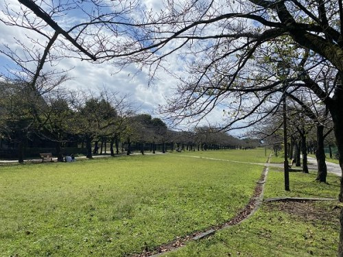 【公園】宝野公園まで140ｍ