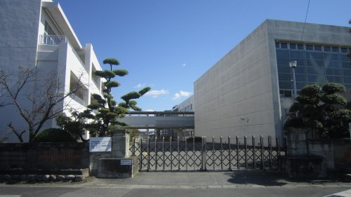 【小学校】羽島市立正木小学校まで1374ｍ