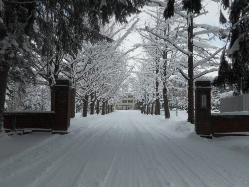 【小学校】三笠小学校まで2296ｍ