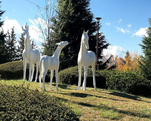 【公園】南つくし野こうま公園まで270ｍ