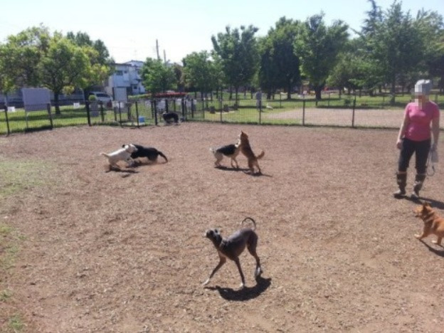 【公園】篠崎公園　ドッグランまで1067ｍ
