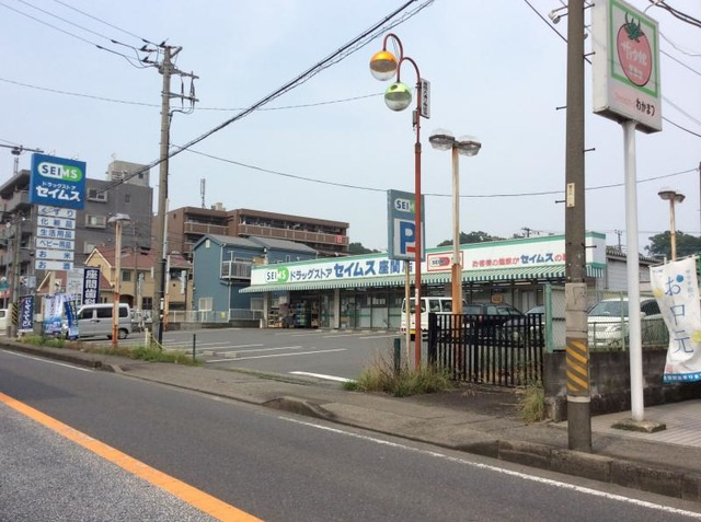 【ドラッグストア】ドラッグセイムス　相武台2丁目店まで534ｍ
