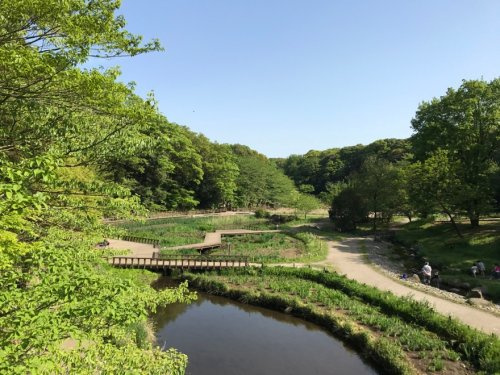 【公園】泉の森まで1007ｍ