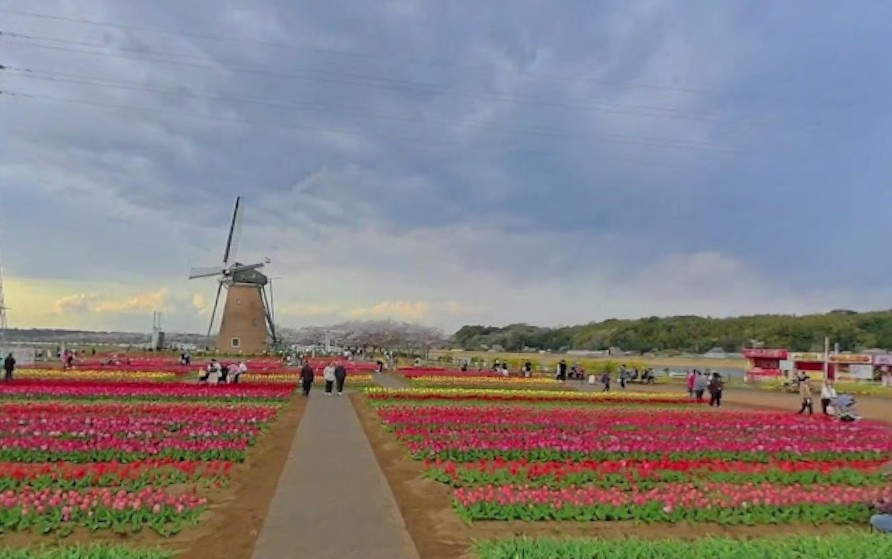 【公園】佐倉ふるさと広場まで1654ｍ