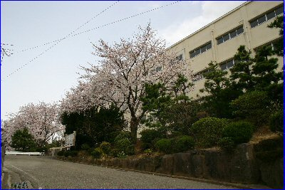 【中学校】横浜市立　豊田中学校まで1000ｍ