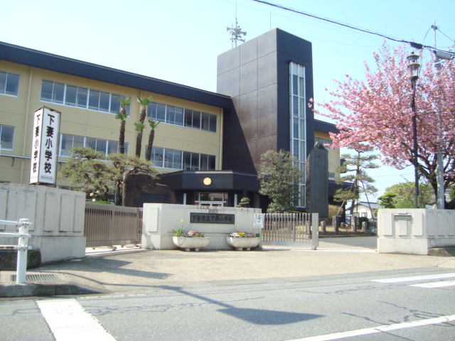 【小学校】下妻市立下妻小学校まで726ｍ