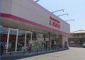 【その他】しまむら田寺店まで801ｍ