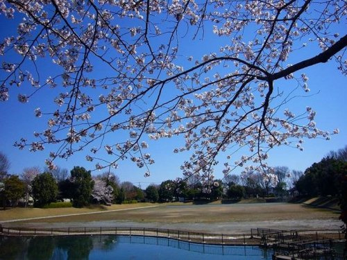 【公園】あかぎ公園まで650ｍ