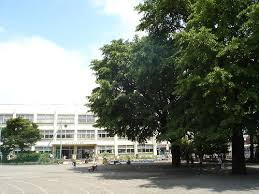 【小学校】大和市立大和小学校まで589ｍ