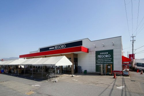 【スーパー】スーパーネゴロ岩出店まで848ｍ