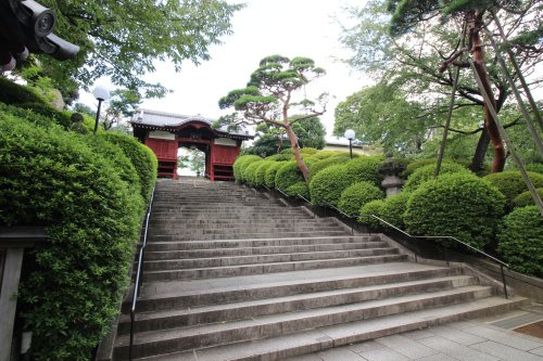 【寺院・神社】護国寺まで227ｍ