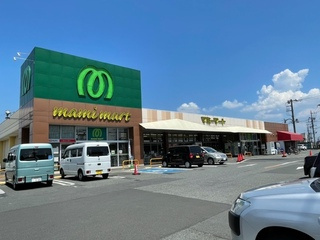 【スーパー】マミーマート松山町店まで4208ｍ