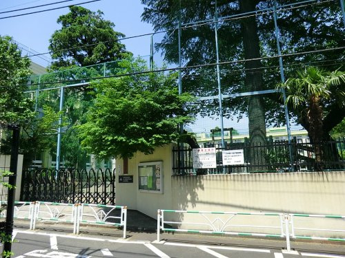 【小学校】渋谷区立猿楽小学校まで448ｍ