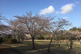 【公園】さくらの杜公園まで7877ｍ