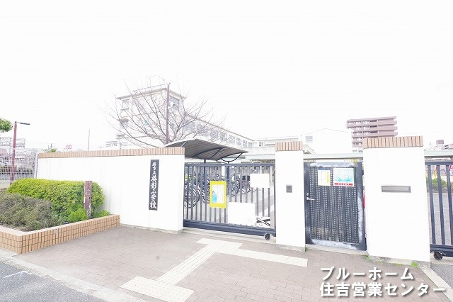【小学校】堺市立英彰小学校まで297ｍ