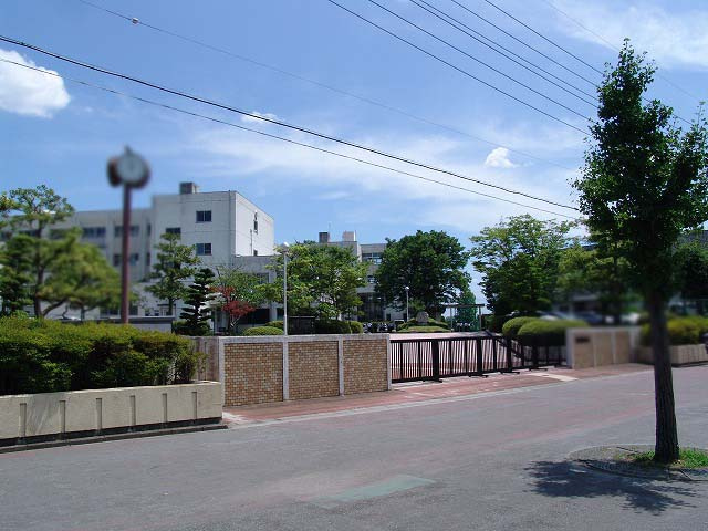 【小学校】桃ヶ丘小学校まで245ｍ