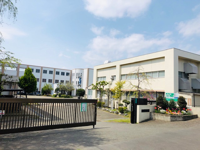 【小学校】茅ヶ崎市立柳島小学校まで1496ｍ