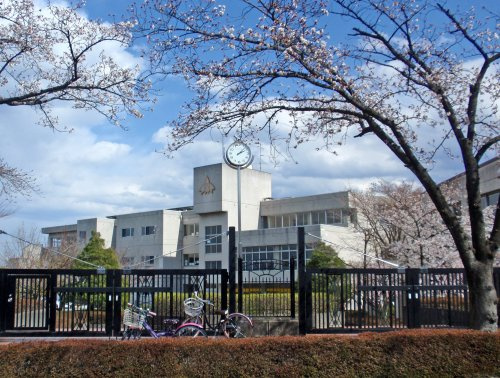 【小学校】桜山小学校まで1173ｍ