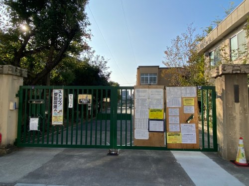 【小学校】七条小学校まで161ｍ