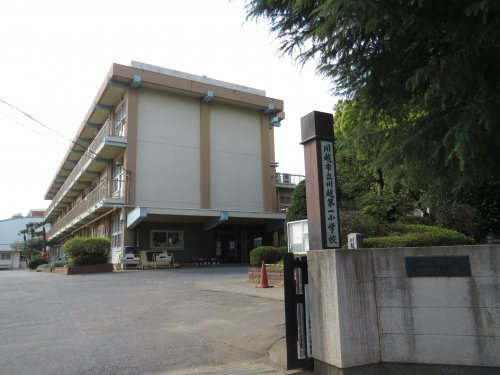 【小学校】川越市立川越第一小学校まで893ｍ