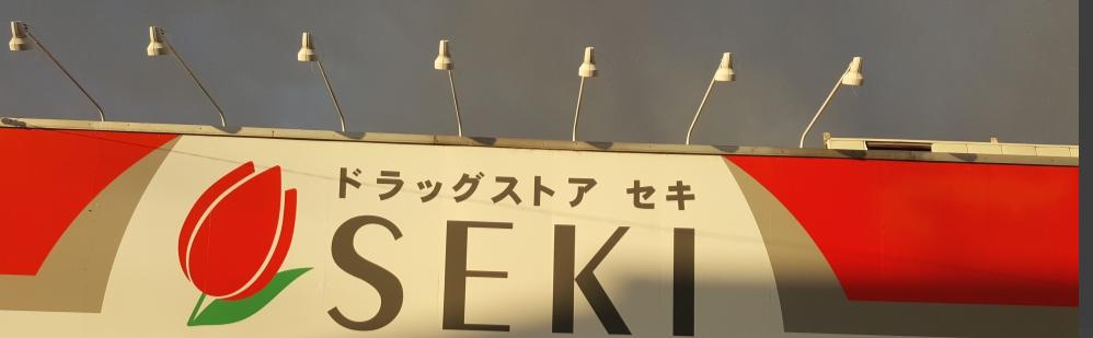 【ドラッグストア】ドラッグストアSEKI(セキ)　南栗橋店まで689ｍ