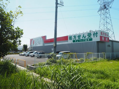 【ドラッグストア】ドラッグストアセキ　南栗橋店まで1251ｍ