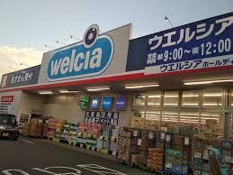 【ドラッグストア】ウエルシア江戸川鹿骨店まで251ｍ
