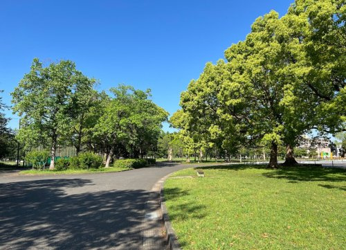 【公園】篠崎公園まで1024ｍ