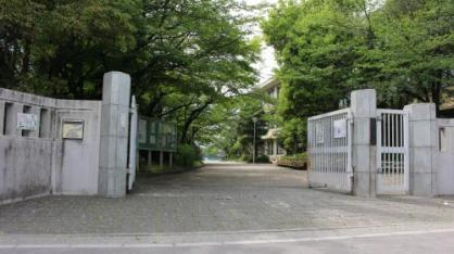 【中学校】京都市立北野中学校まで1155ｍ