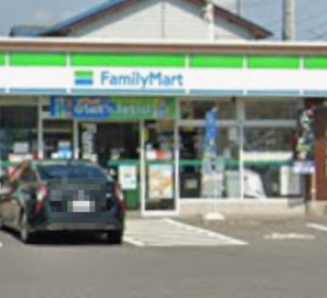 【コンビニエンスストア】ファミリーマート　港福田店まで603ｍ