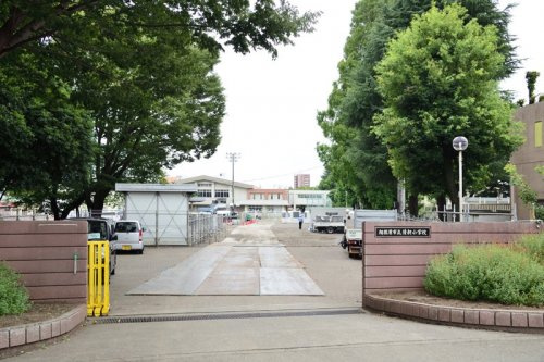 【小学校】清新小学校まで764ｍ