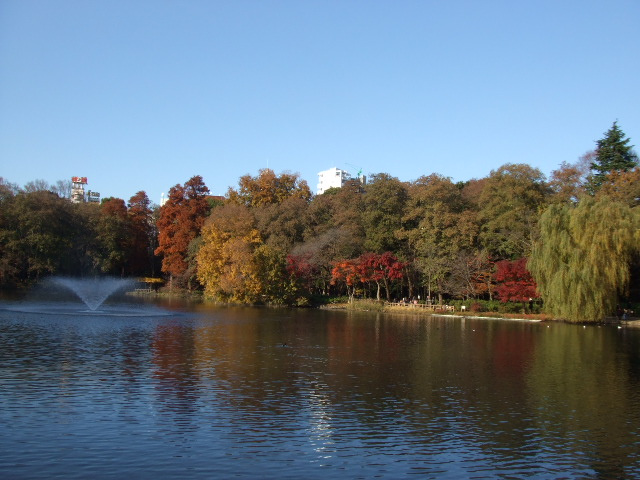 【公園】井の頭恩賜公園まで581ｍ