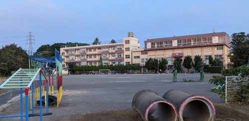 【小学校】川口市立根岸小学校まで100ｍ