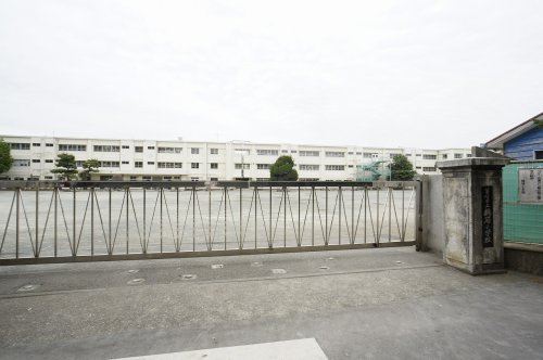 【小学校】茅ヶ崎市立鶴嶺小学校まで1140ｍ