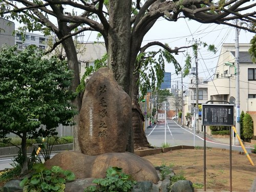 【公園】芦毛塚街かど公園まで263ｍ