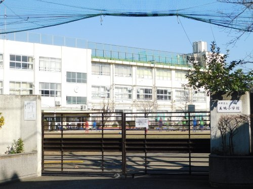 【小学校】中野区立美鳩小学校まで343ｍ