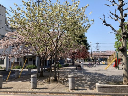 【公園】重瀬公園まで217ｍ