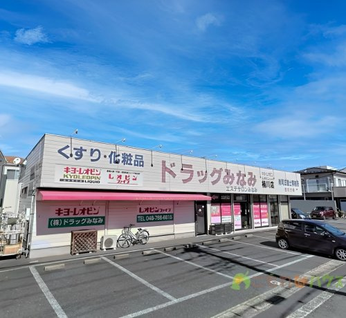 【ドラッグストア】ドラッグみなみ桶川店まで439ｍ