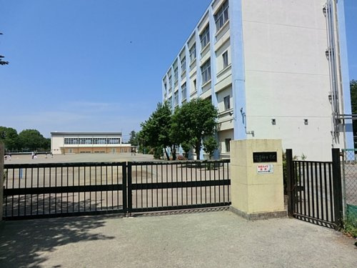 【小学校】大和市立草柳小学校まで293ｍ