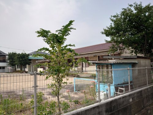 【幼稚園】花田幼稚園まで770ｍ
