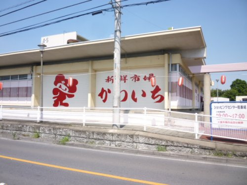 【スーパー】かわいち　尾山台店まで1047ｍ
