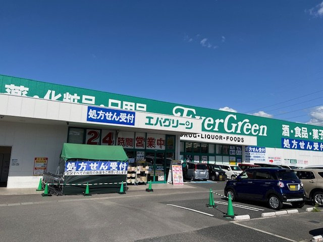 【ドラッグストア】エバグリーン　狭山店まで966ｍ