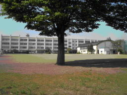 【小学校】元八王子東小学校まで440ｍ