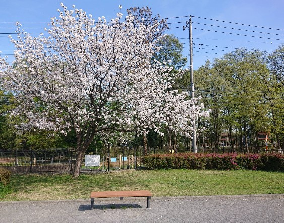 【公園】若狭の森公園まで607ｍ