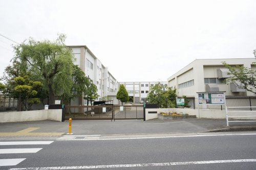 【小学校】茅ヶ崎市立柳島小学校まで1080ｍ