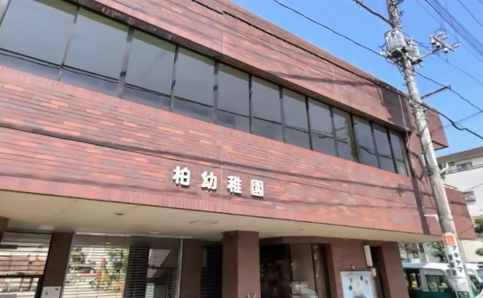 【幼稚園】柏幼稚園まで179ｍ