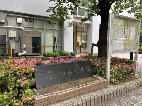 【中学校】佃島小学校まで296ｍ