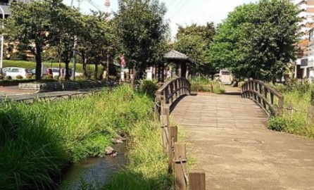 【公園】曳舟川親水公園まで1001ｍ